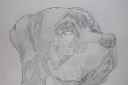 drawing:skfktqthywc= dog