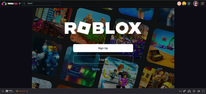 now.gg roblox